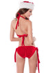 4 Piece Christmas Santa Stripper Thong Set